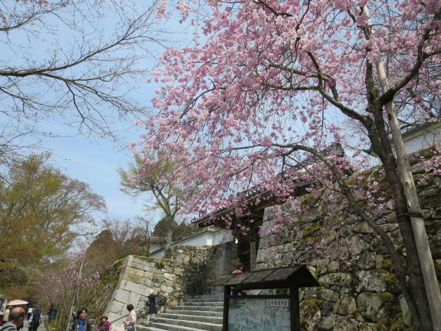 三千院-京都市必去景点