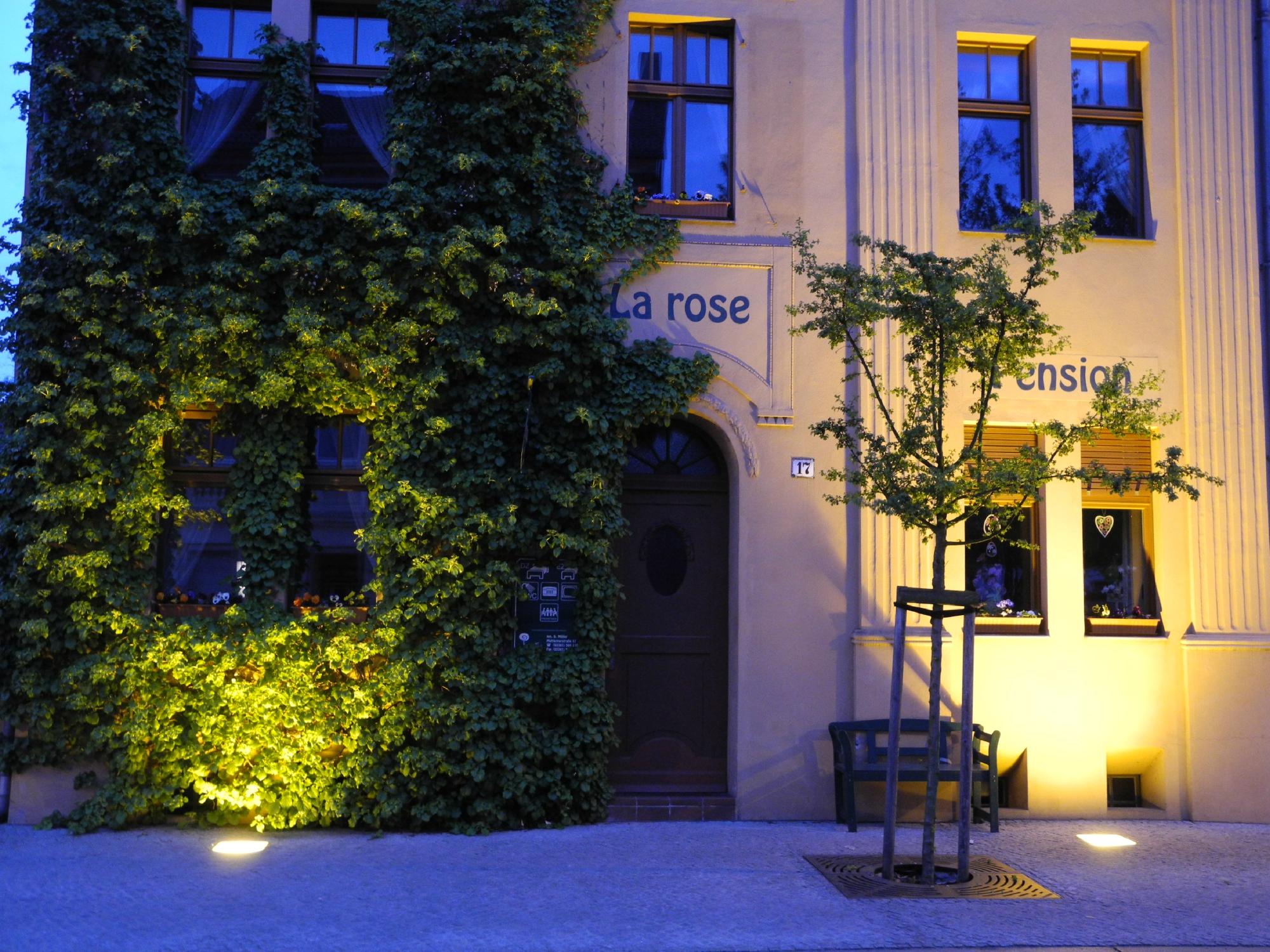 Pension "La rose"-官方