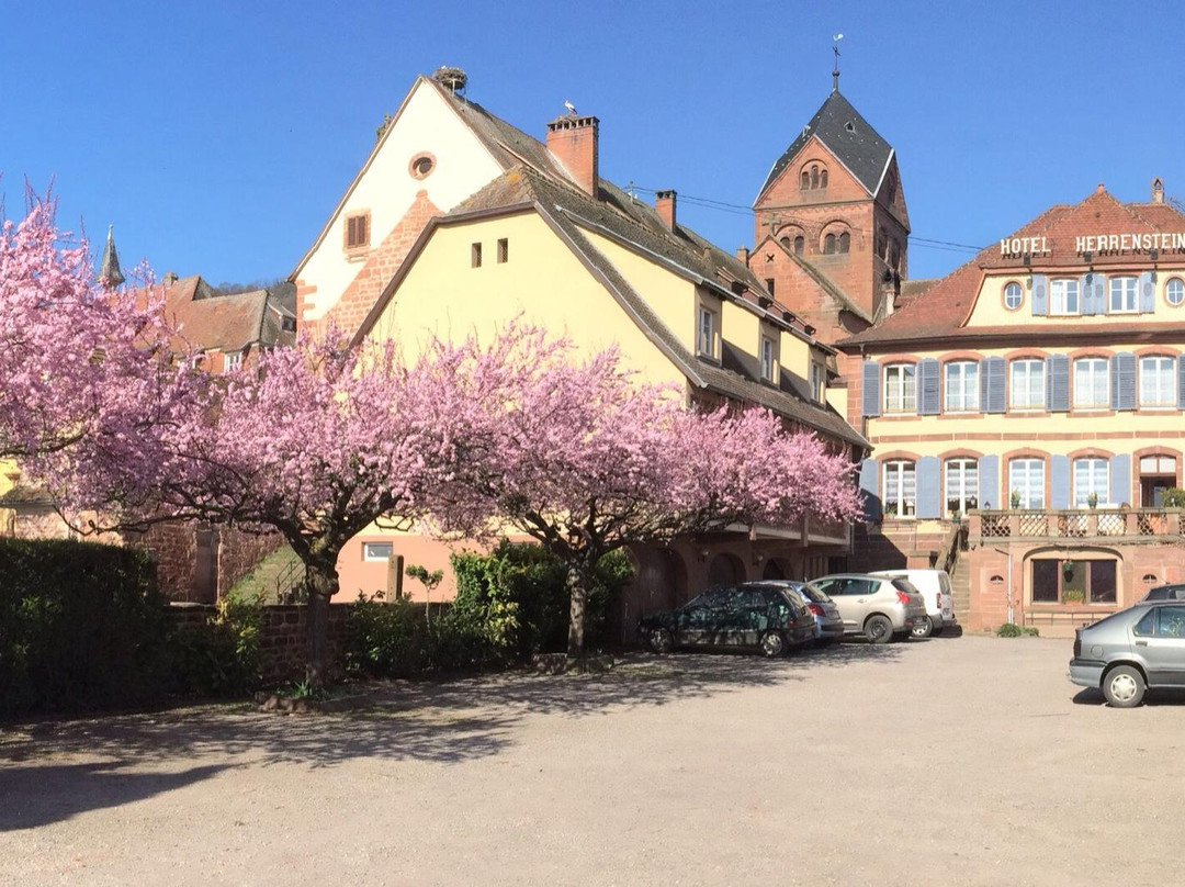 Dossenheim-sur-Zinsel旅游攻略图片