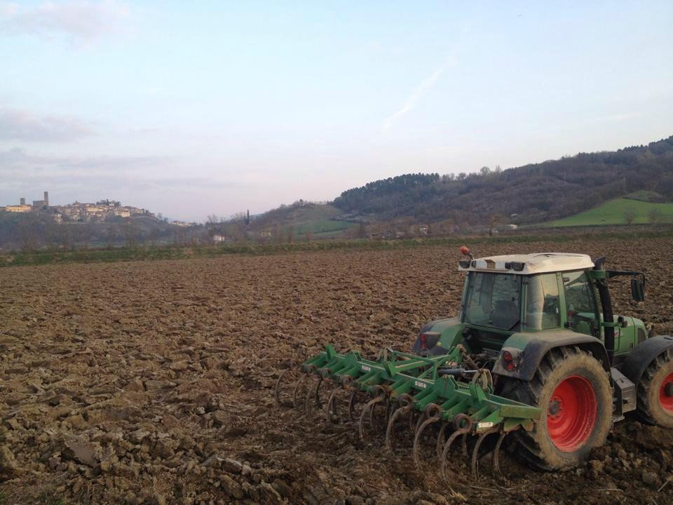 Azienda Agricola San Marco di Mori - Vendita diretta Carne Chianina景点图片