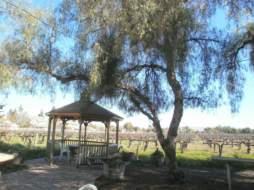 Retzlaff Vineyards-利佛摩必去景点