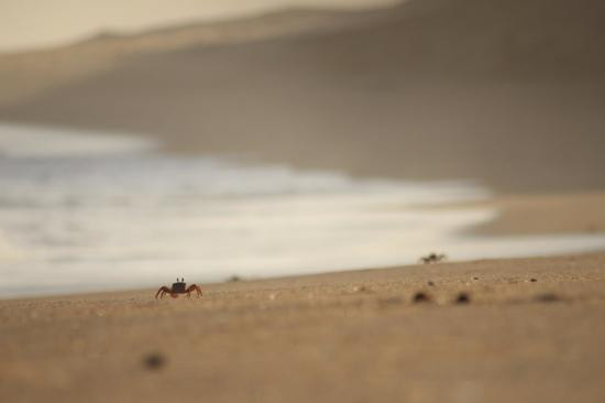 Zinkwazi Beach-Zinkwazi Beach必去景点