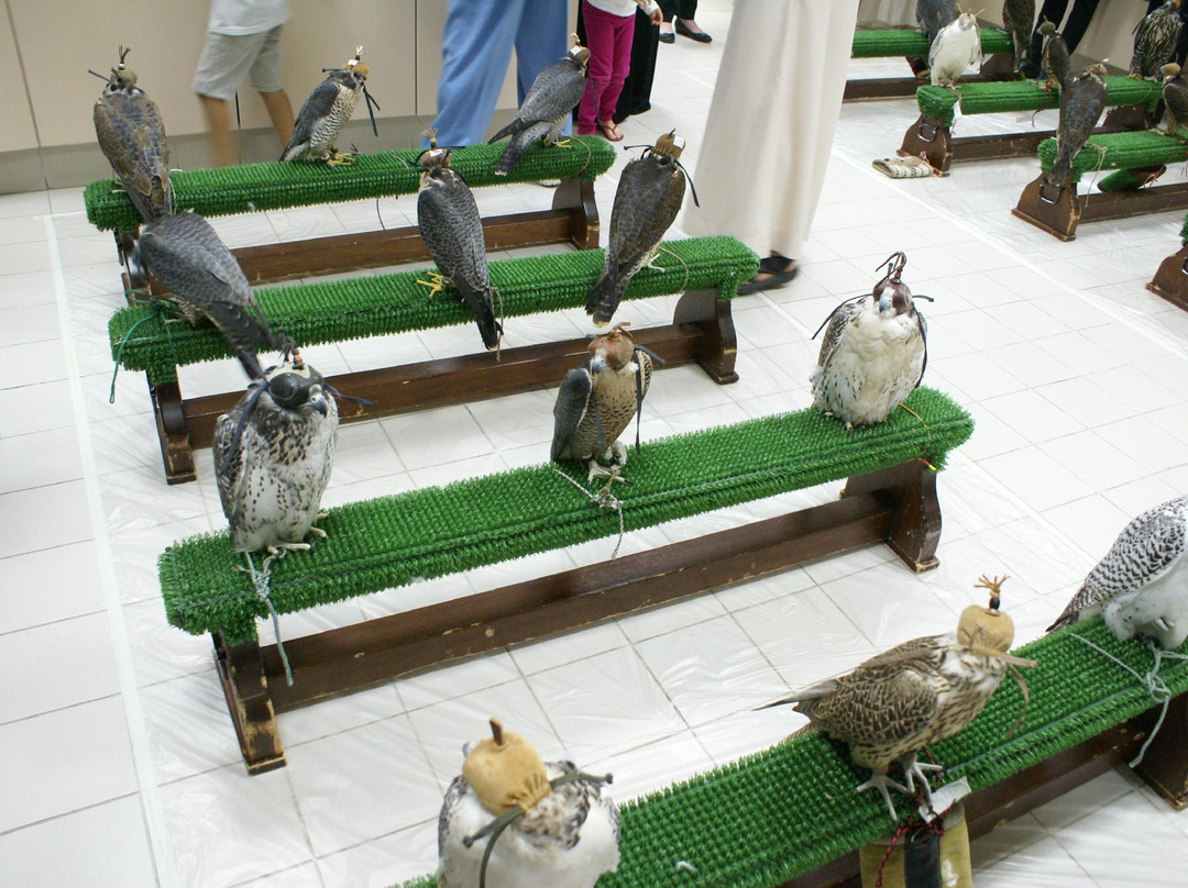 猎鹰医院-阿布扎比必去景点