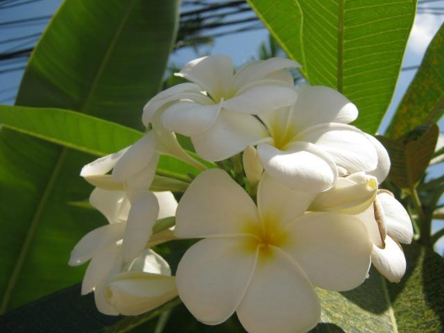 Chadasai spa-呈塔累必去景点