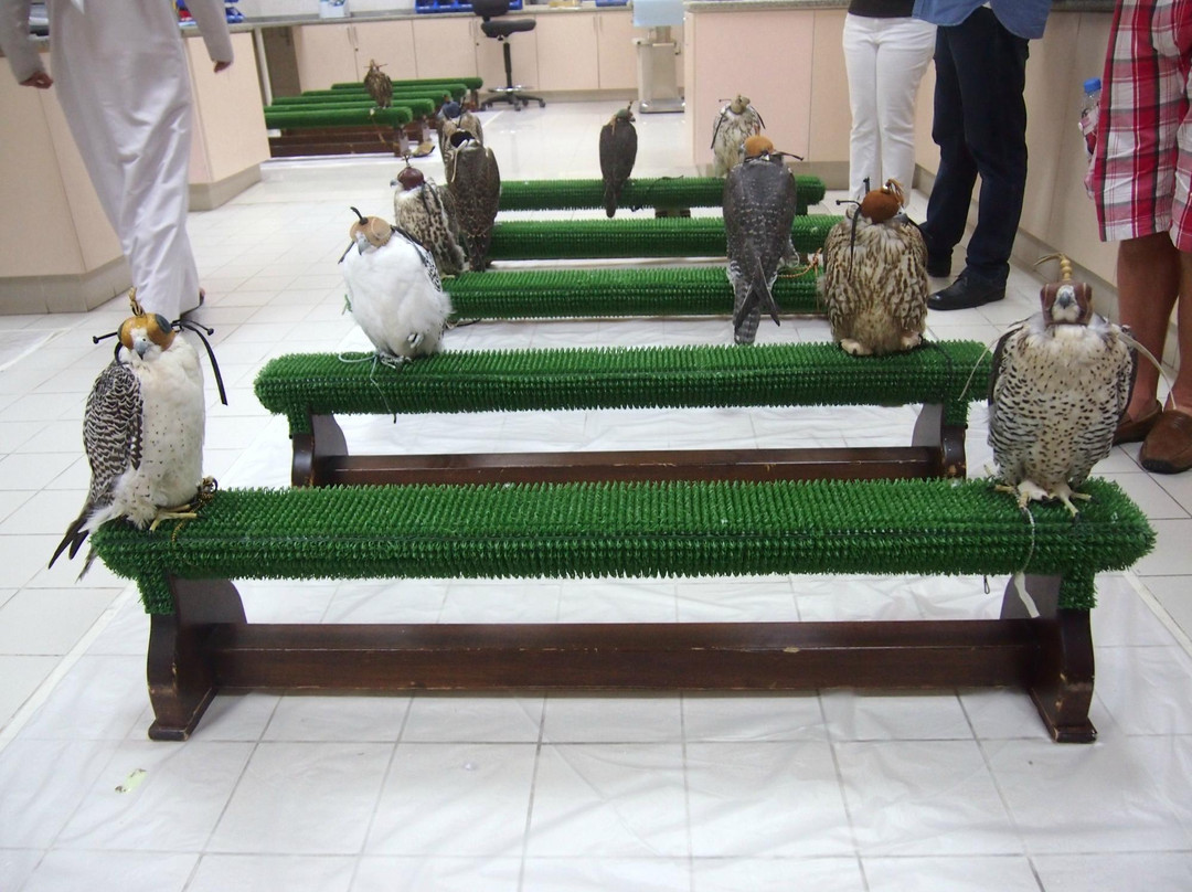 猎鹰医院-阿布扎比必去景点