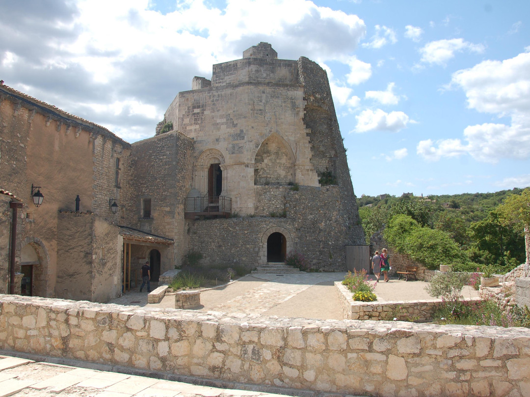 Château Médiéval Simiane-la-rotonde景点图片