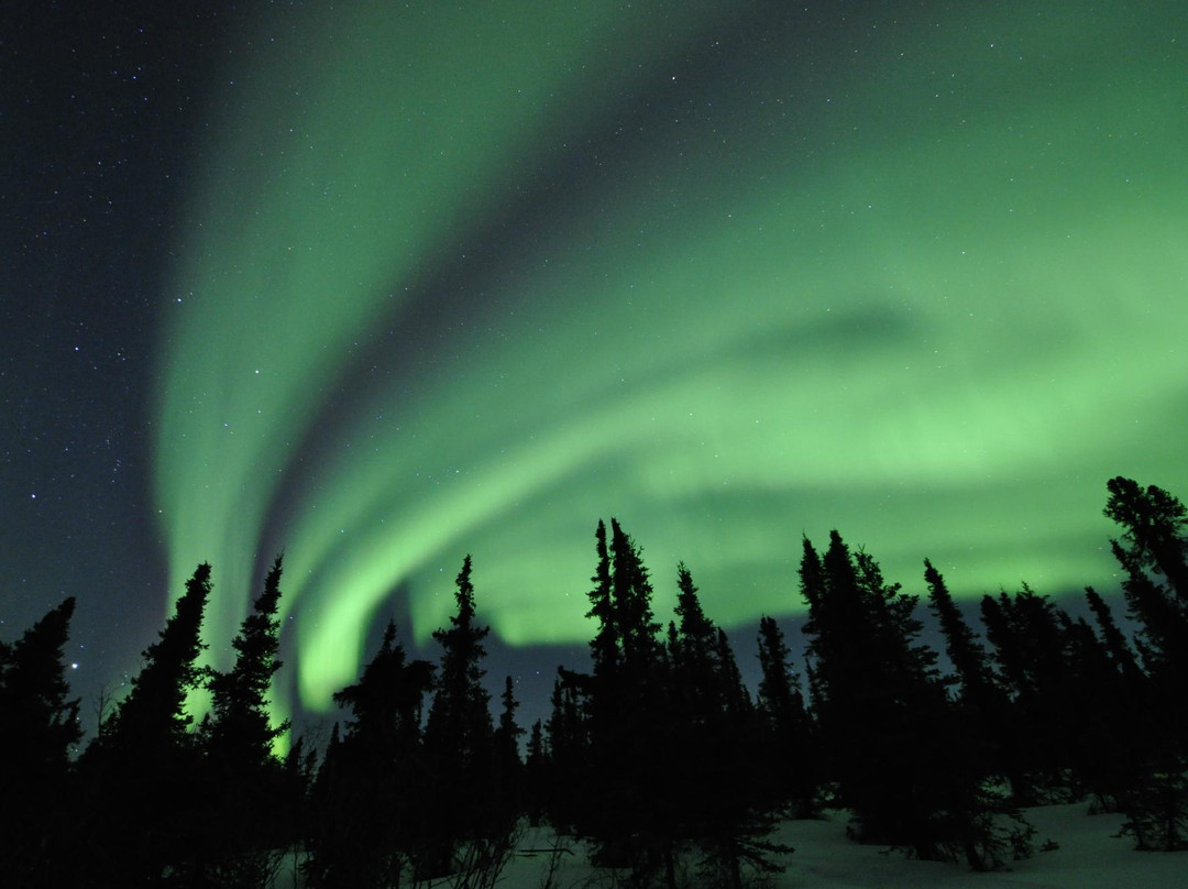 费尔班克斯极光猎人-费尔班克斯必去景点