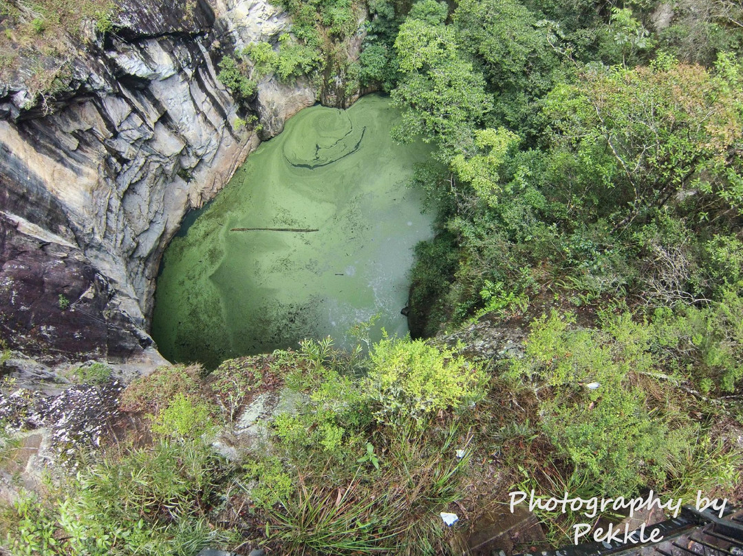 赤足观光之旅-凯恩斯必去景点