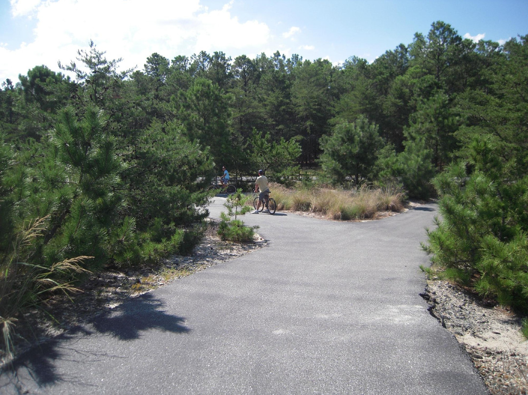 Cape Henlopen State Park Campground