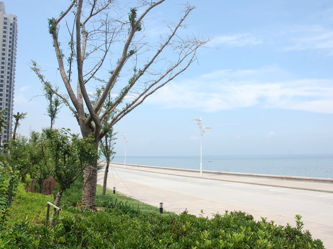 烟台金沙滩喜来登度假酒店主图