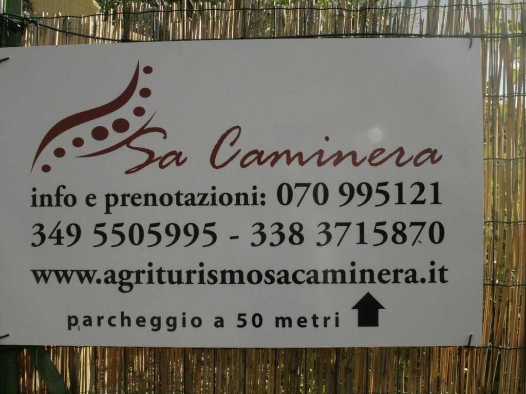 Agriturismo Sa Caminera主图