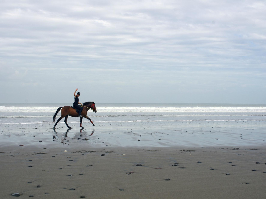 巴厘岛骑马游沙滩-达巴南必去景点