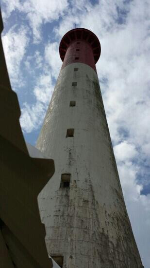Phare de la Coubre景点图片