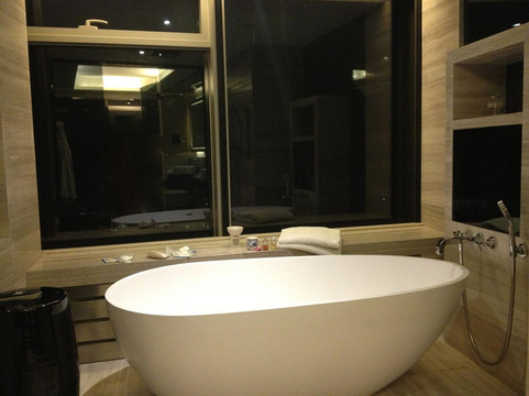 天津中心唐拉雅秀酒店主图