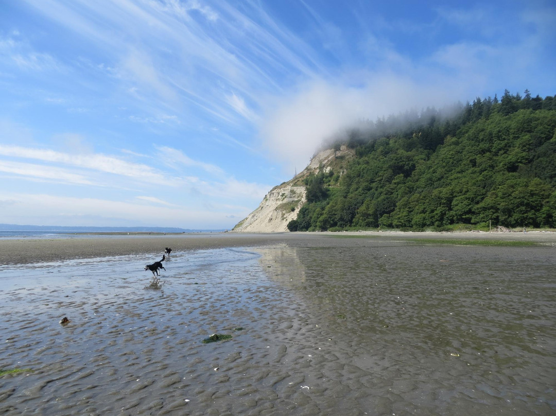 Double Bluff County Park景点图片