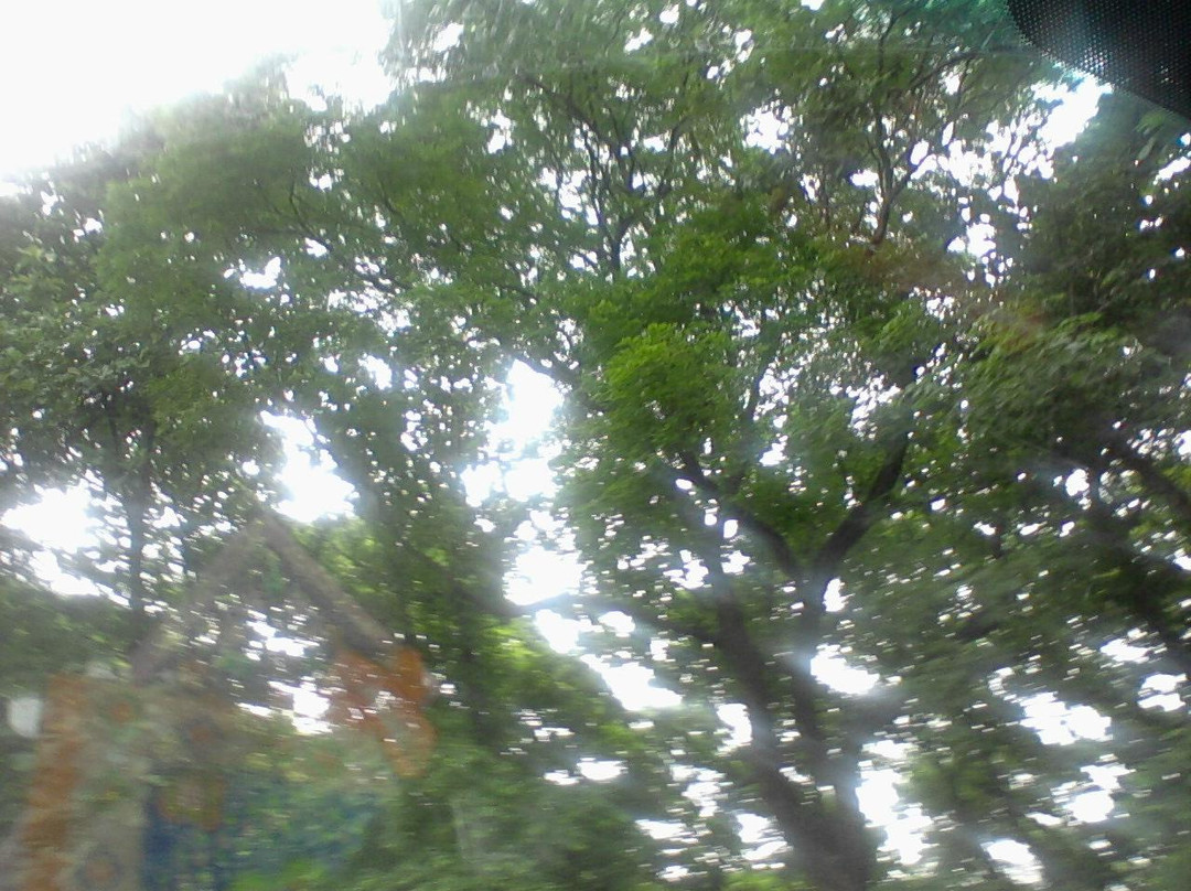 Nelliyampathy Guha-Nelliyampathy必去景点