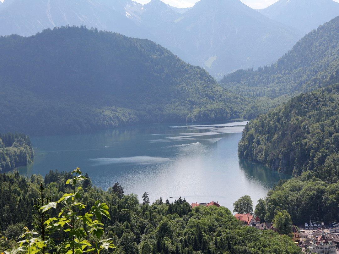 巴伐利亚新天鹅堡观光车之旅-慕尼黑必去景点