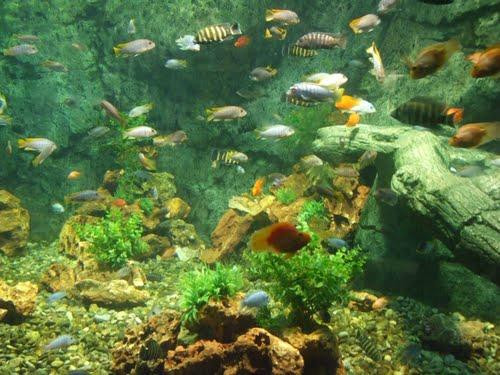 Gaziantep Zoo景点图片