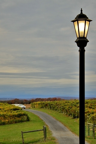 Barren Ridge Vineyards-Fishersville必去景点