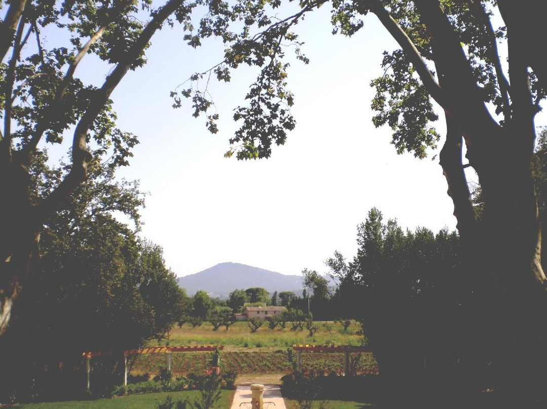 Domaine de la Baratonne主图