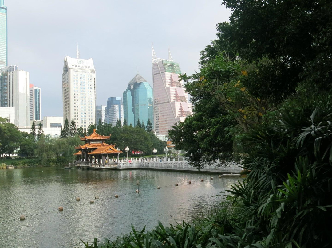 荔枝公园-深圳市必去景点