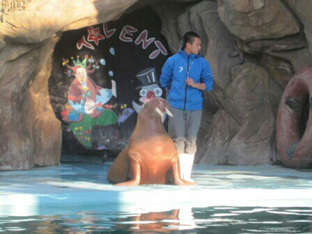 大连海洋乐园主图