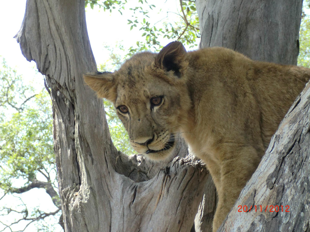 Fathala Wildlife Reserve景点图片