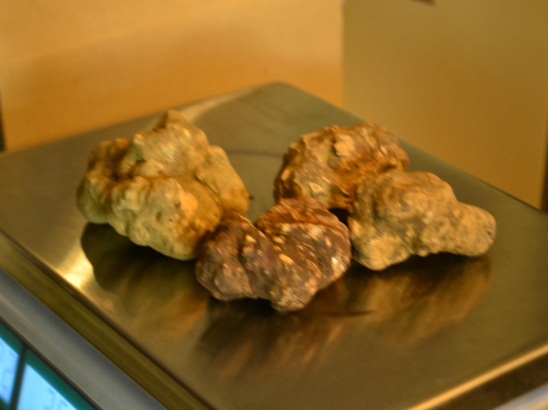The Truffle Hunter景点图片
