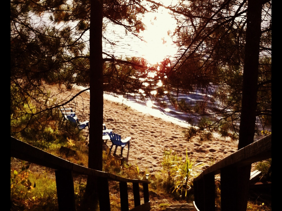 The Pines on Boshkung