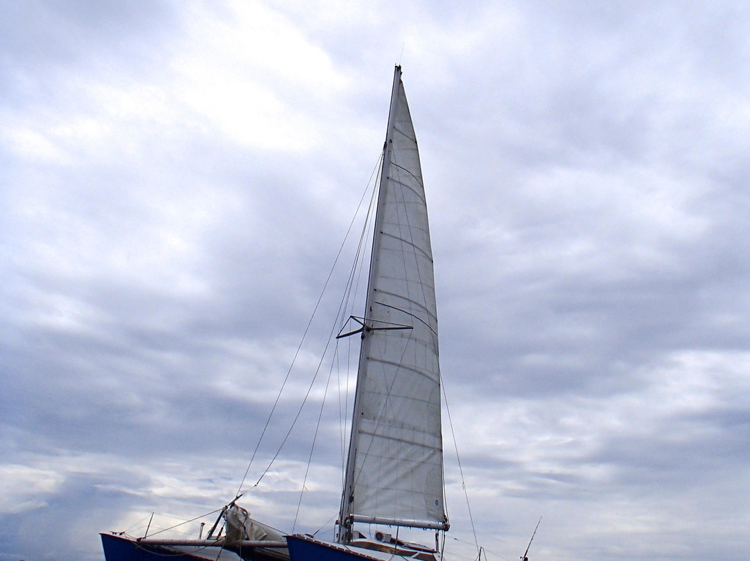 Bocas Sailing景点图片