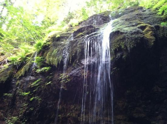Bagby Hot Springs-Estacada必去景点