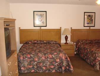 OYO Hotel Yuma AZ - I-8/US-95主图