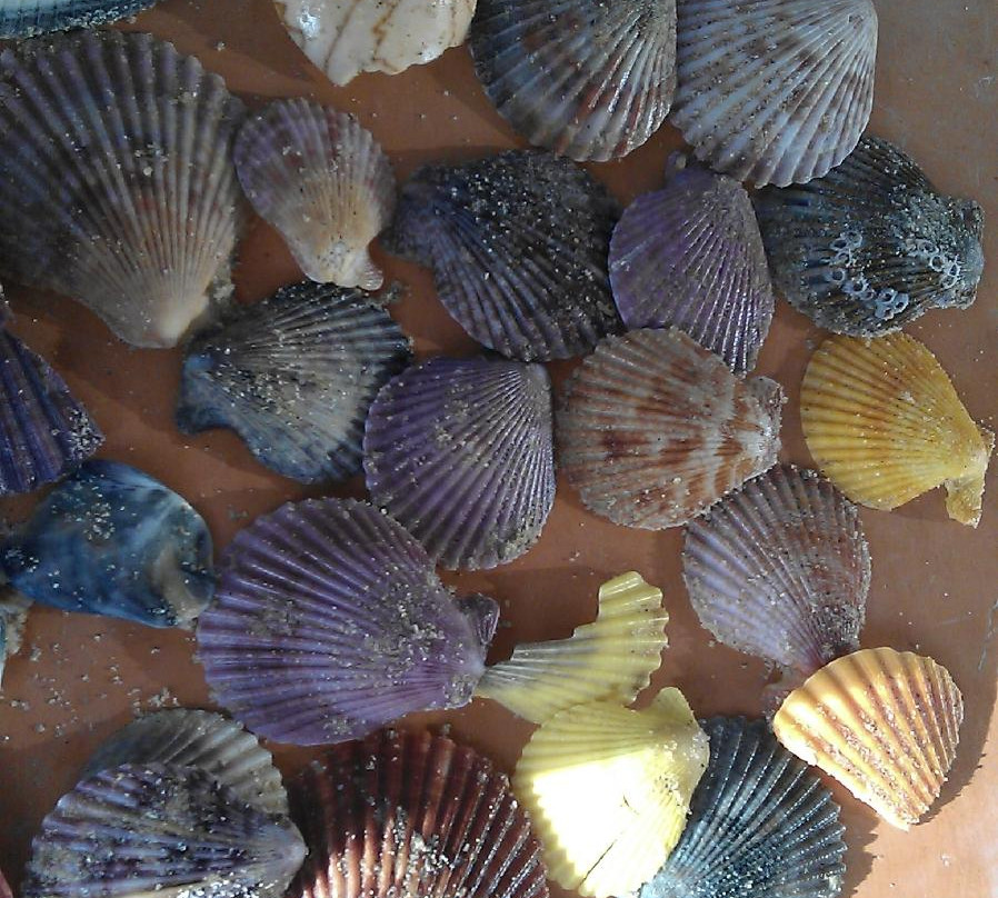 桑德希尔斯海滩温泉度假村主图