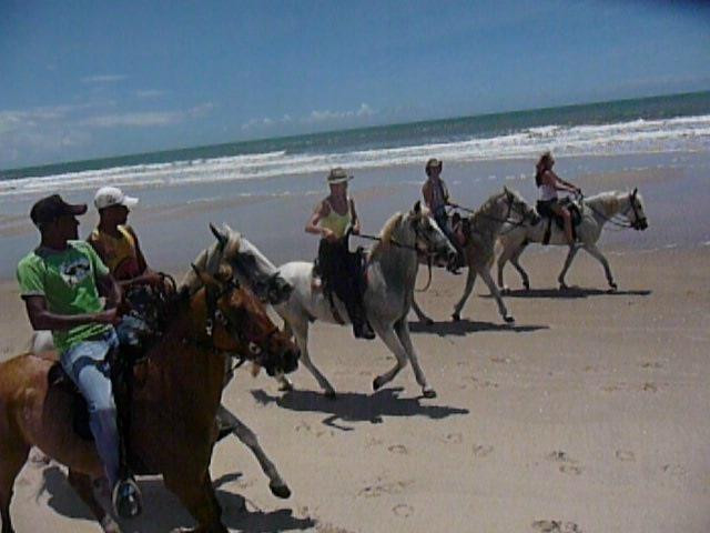 Ponta do Curral Beach-Valenca必去景点