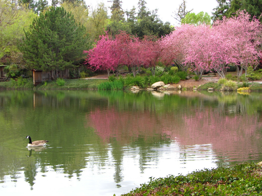 Shinzen Japanese Garden-弗雷斯诺必去景点