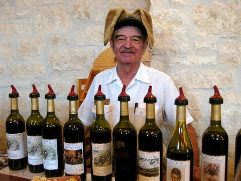 Texas Wine Tours-弗雷德里克斯堡必去景点