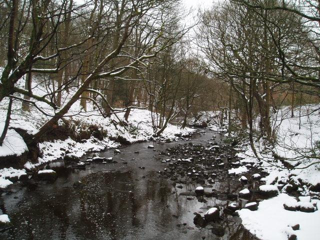 Jumbles Country Park景点图片