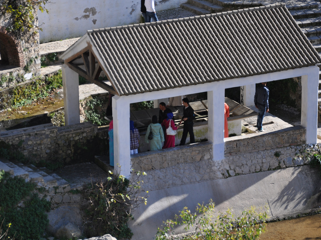 麦地那-舍夫沙万必去景点