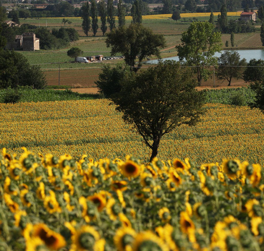 Bed and Breakfast La Lastra主图