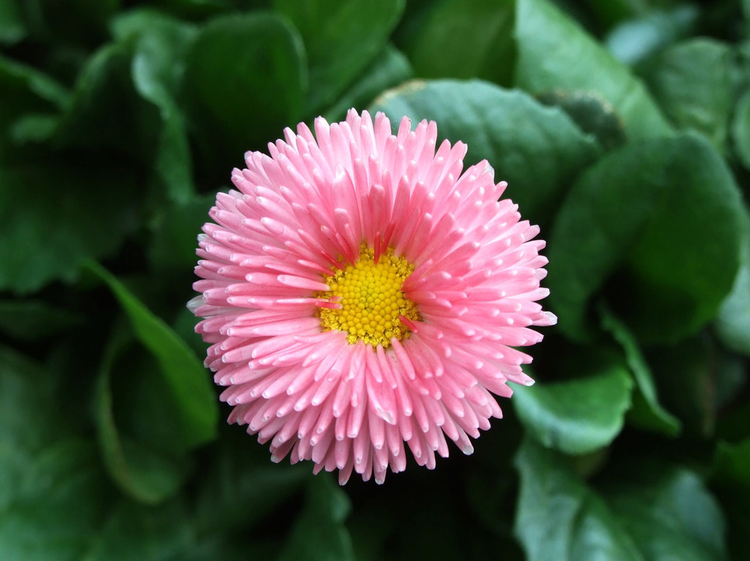 宁波奉化滕头村-奉化市必去景点