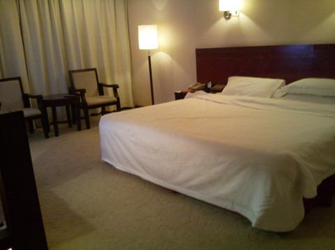 军安王朝大酒店主图