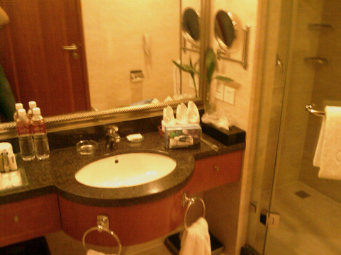 金鹰皇冠假日酒店主图