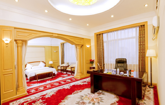 金城宾馆-客卧