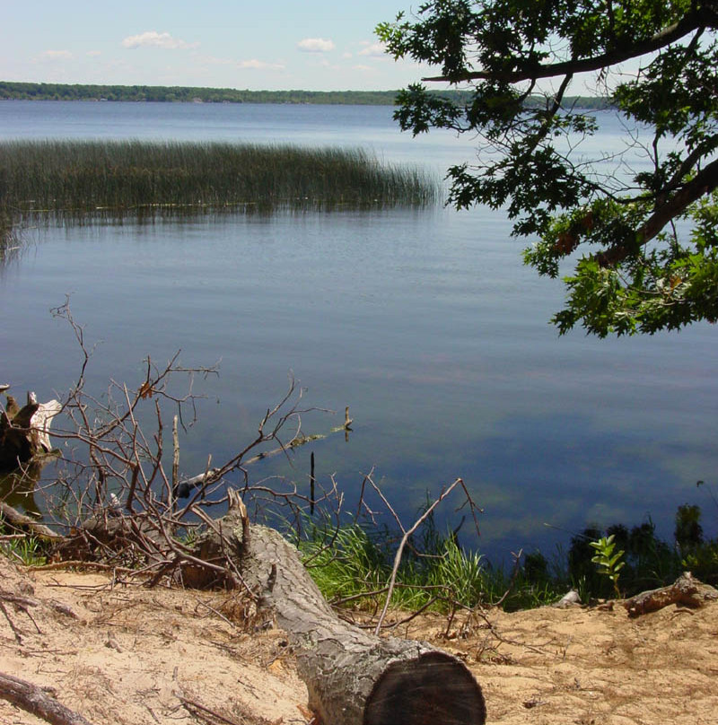 Ludington State Park