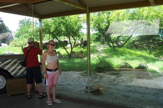 布什花园-坦帕必去景点