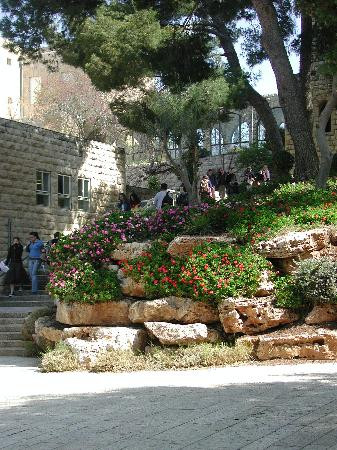 Al-Eizariya酒店住宿-Maiersdorf Faculty Club Hotel