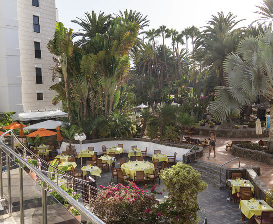 马斯帕洛马斯酒店住宿-海滨棕榈滩酒店