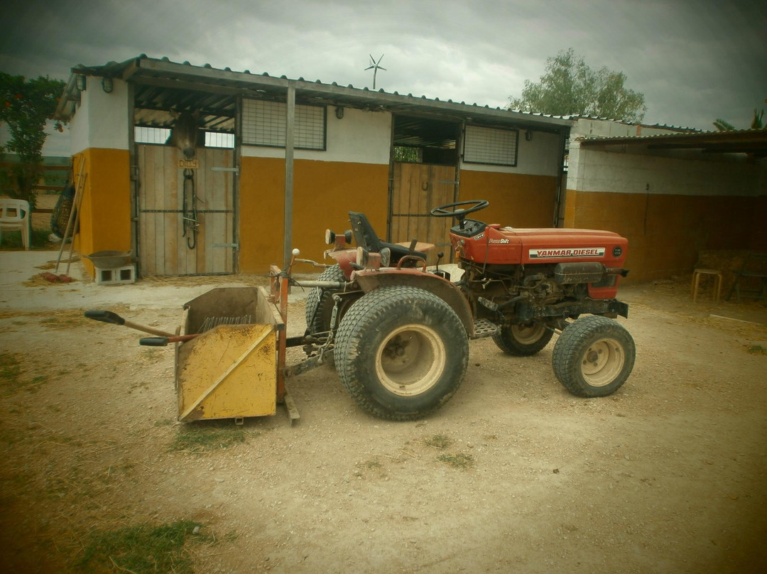 Finca Montana-Almoradi必去景点