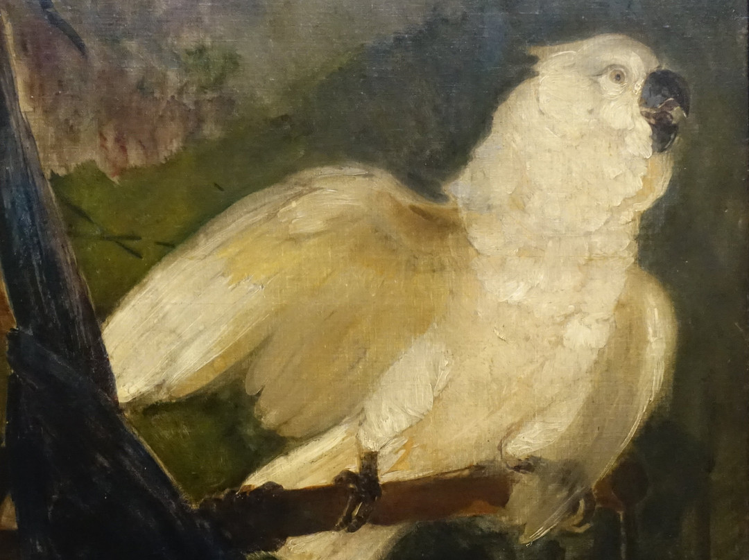 Musee des Beaux-Arts-布列斯特必去景点