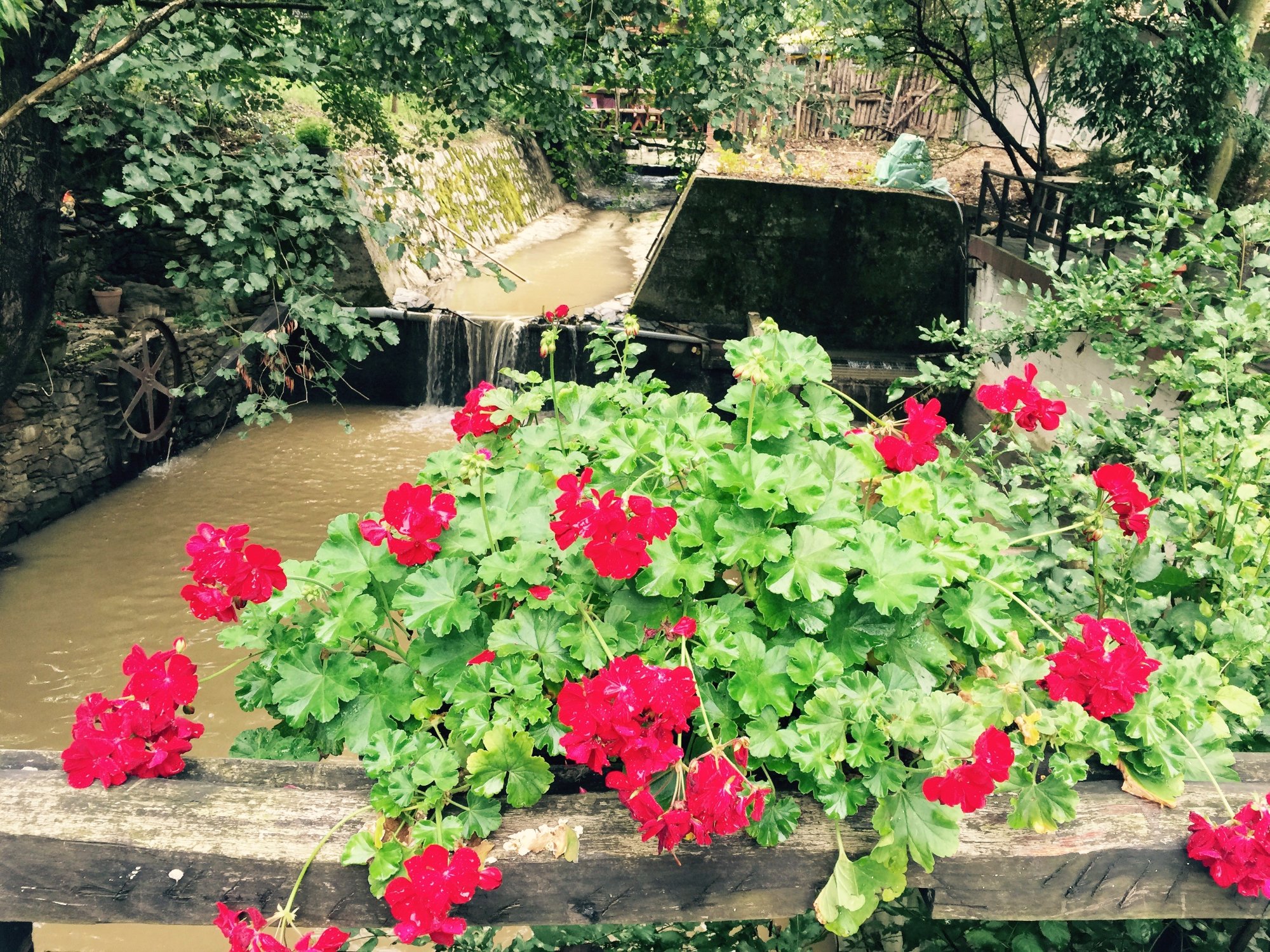 Restoran Sa Konacistem Vir-浴室